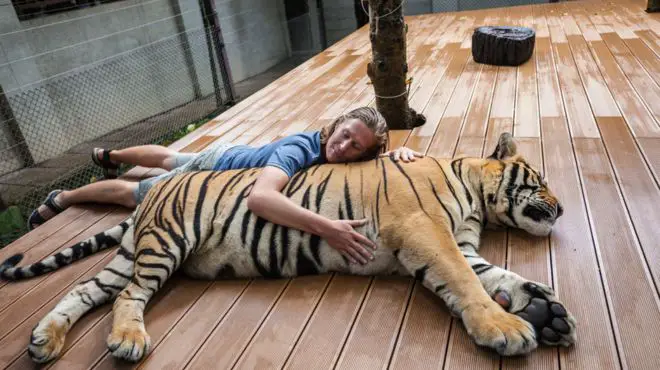 man dream about hugging a tiger at his house