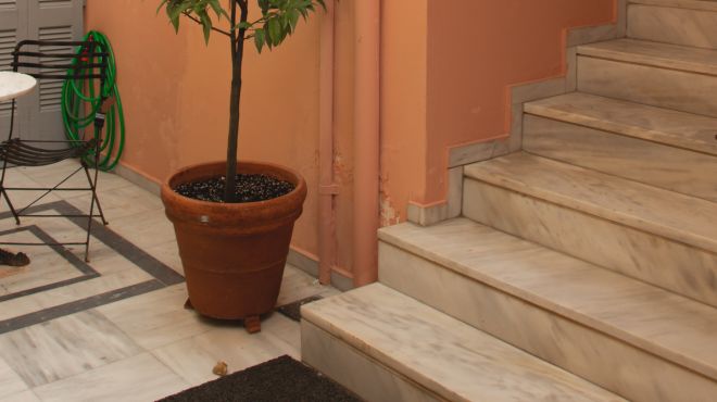 a small tree in a pot at the entrance of childhood home of someone