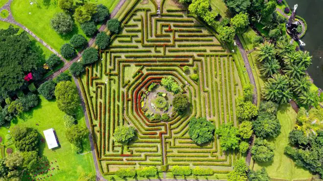 maze  situated in a garden