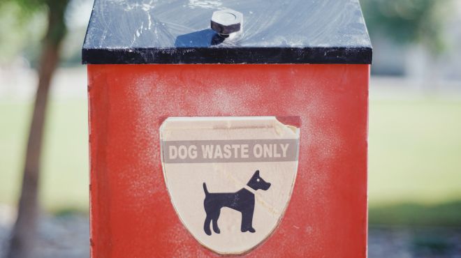 dog poop elimination place sign