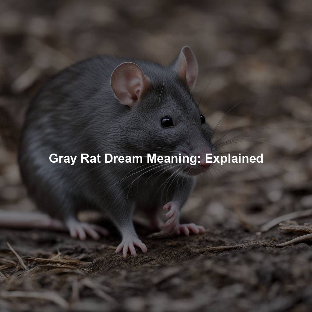 Gray Rat Dream Meaning: Explained